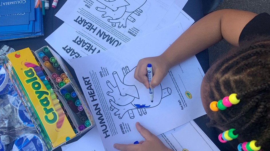 A child colors a drawing of the human heart.